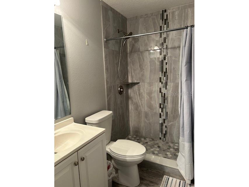 2684 Emerald Lake Court #2684 Kissimmee FL 34744 S5136501 image23