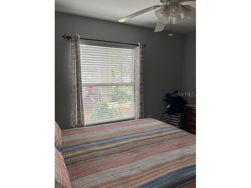 2684 Emerald Lake Court #2684 Kissimmee FL 34744 S5136501 image28