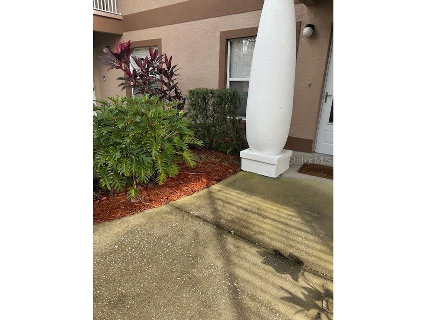 2684 Emerald Lake Court #2684 Kissimmee FL 34744 S5136501 image3