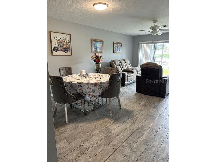 2684 Emerald Lake Court #2684 Kissimmee FL 34744 S5136501 image7