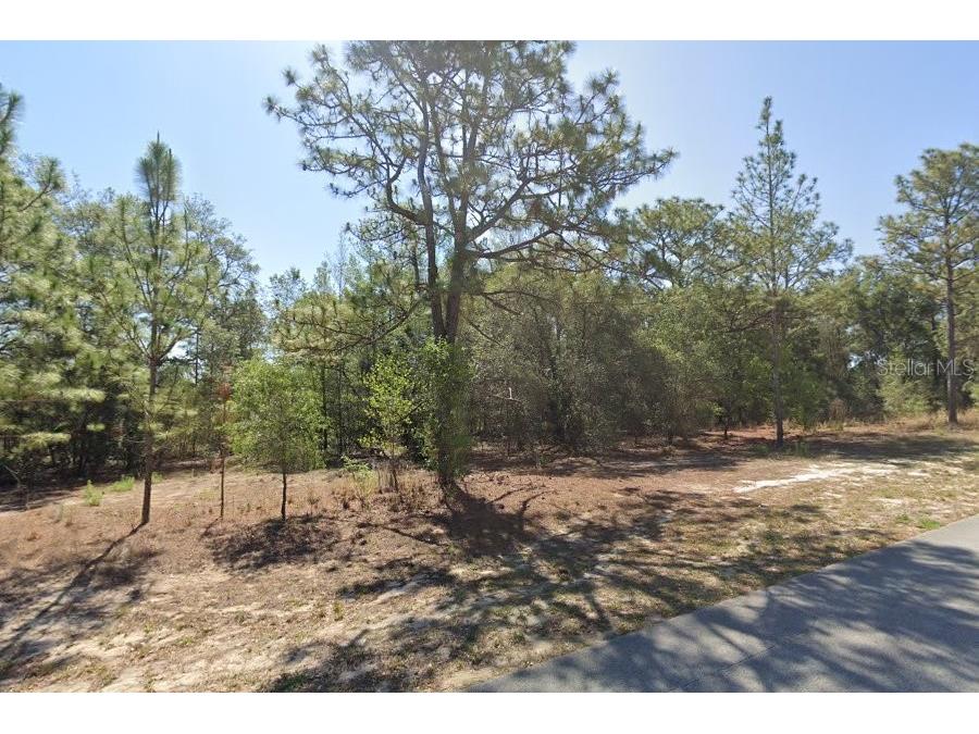 2684 W Angola Drive Beverly Hills FL 34465 W7873605 image1