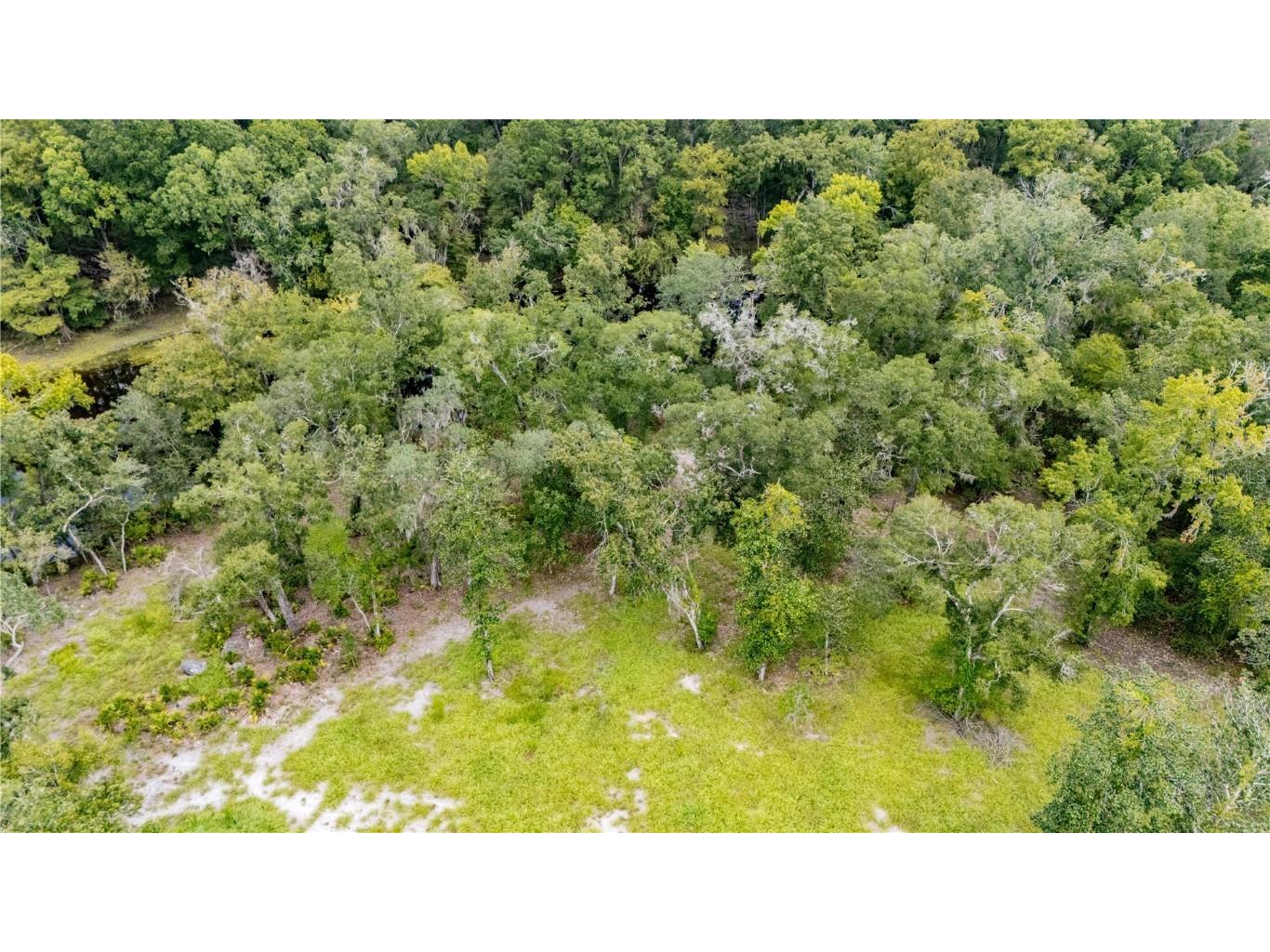 26840 NW 206th Place High Springs FL 32643 - SANTA FE RIVER GC533748 image15