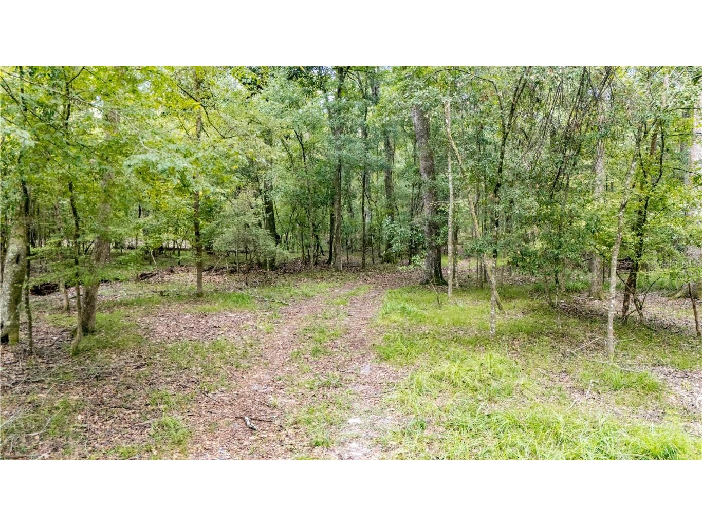 26840 NW 206th Place High Springs FL 32643 - SANTA FE RIVER GC533748 image4