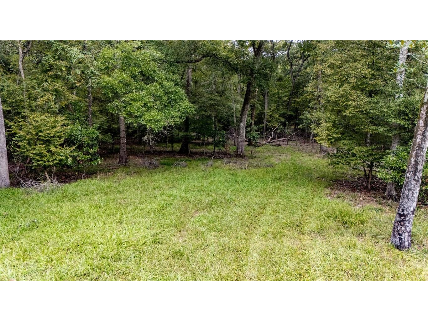 26840 NW 206th Place High Springs FL 32643 - SANTA FE RIVER GC533748 image5