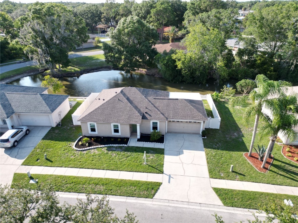 26845 Haverhill Drive Lutz FL 33559 U8202123 image1