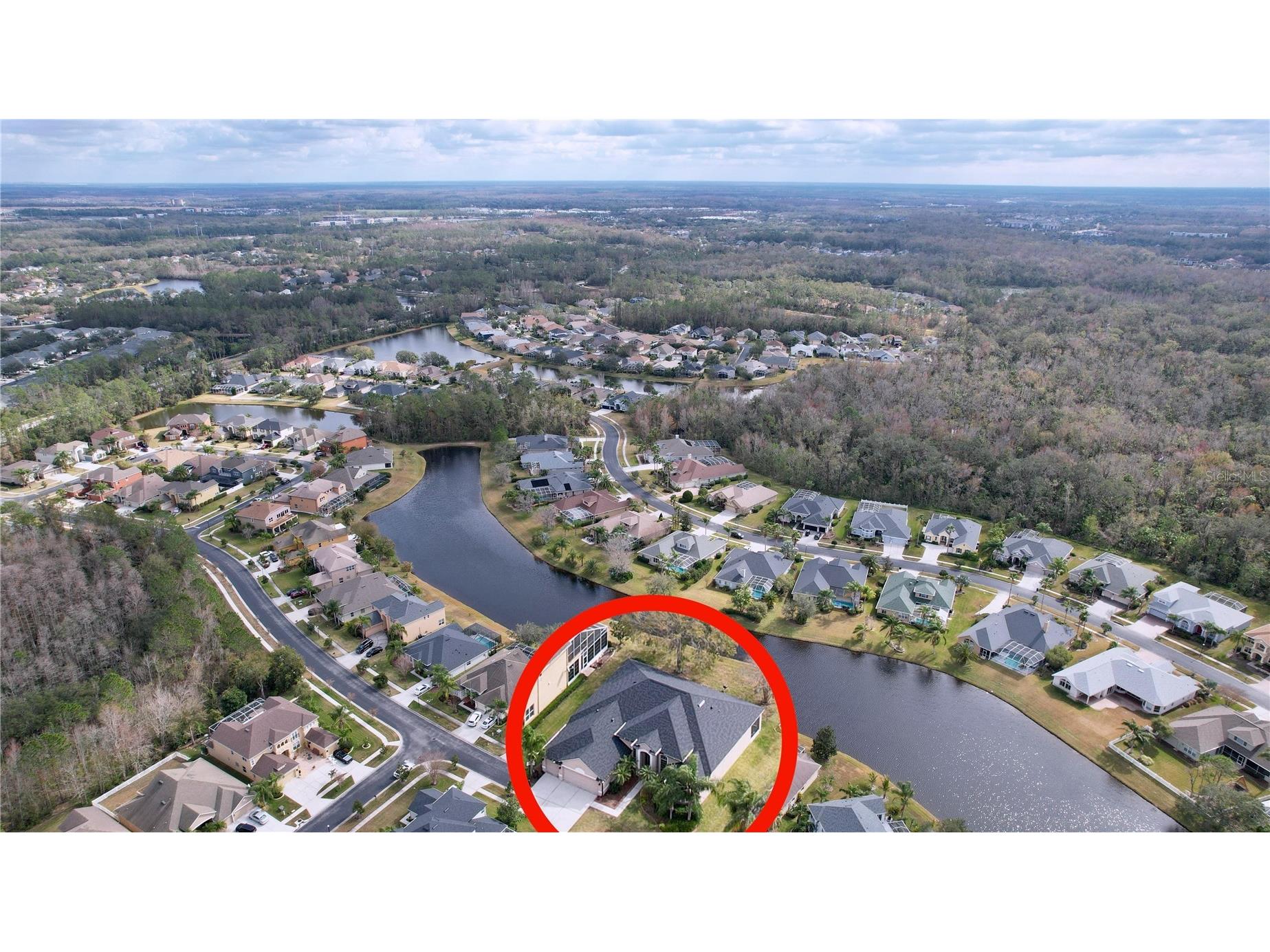 26848 Shoregrass Drive Wesley Chapel FL 33544 TB8474775 image2