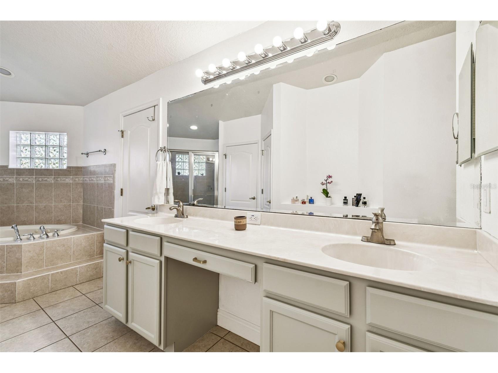 26848 Shoregrass Drive Wesley Chapel FL 33544 TB8474775 image42