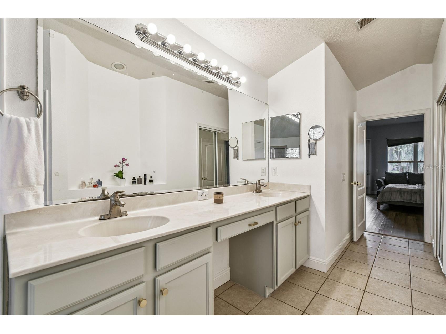 26848 Shoregrass Drive Wesley Chapel FL 33544 TB8474775 image43