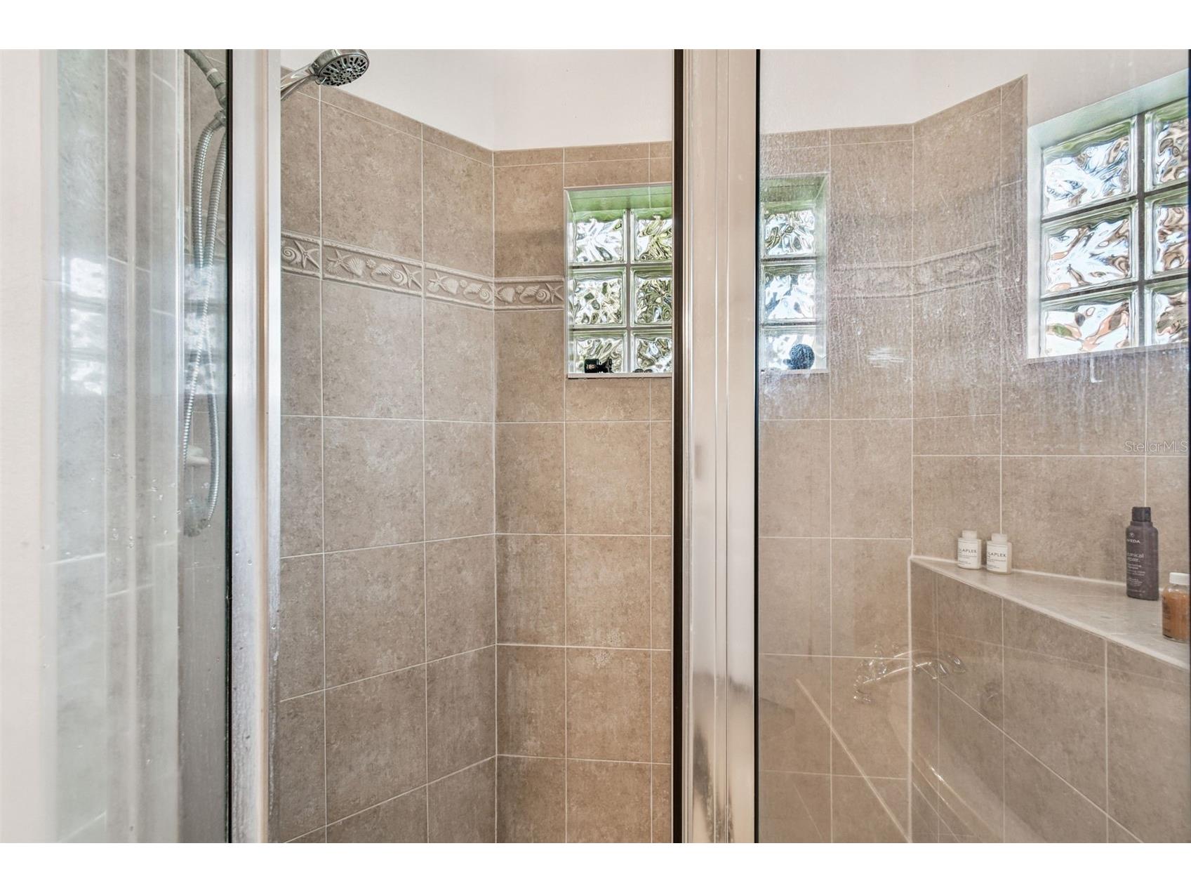 26848 Shoregrass Drive Wesley Chapel FL 33544 TB8474775 image46