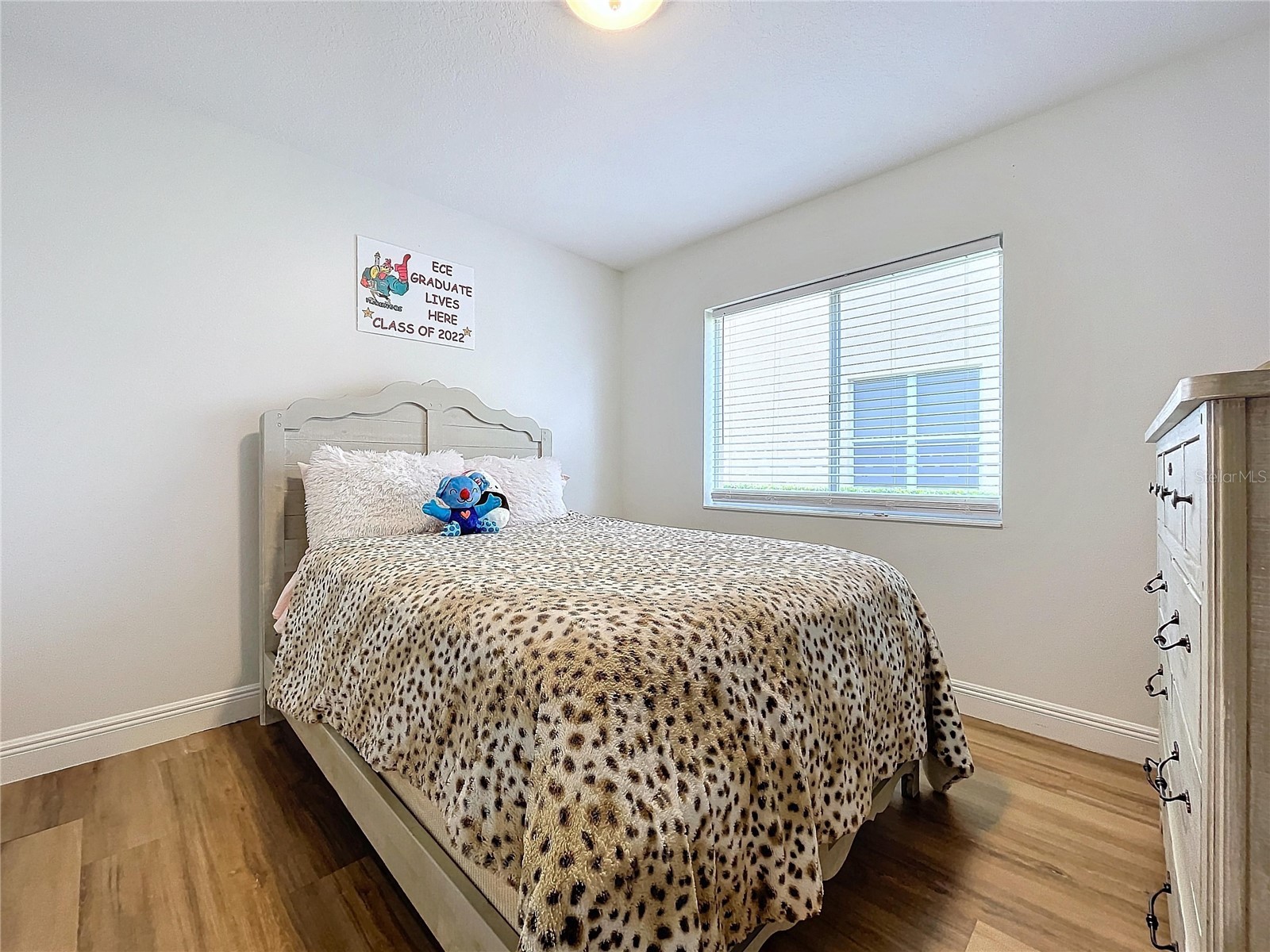 26848 Shoregrass Drive Wesley Chapel FL 33544 TB8474775 image54