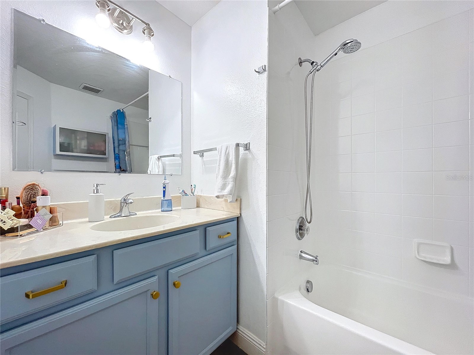 26848 Shoregrass Drive Wesley Chapel FL 33544 TB8474775 image57