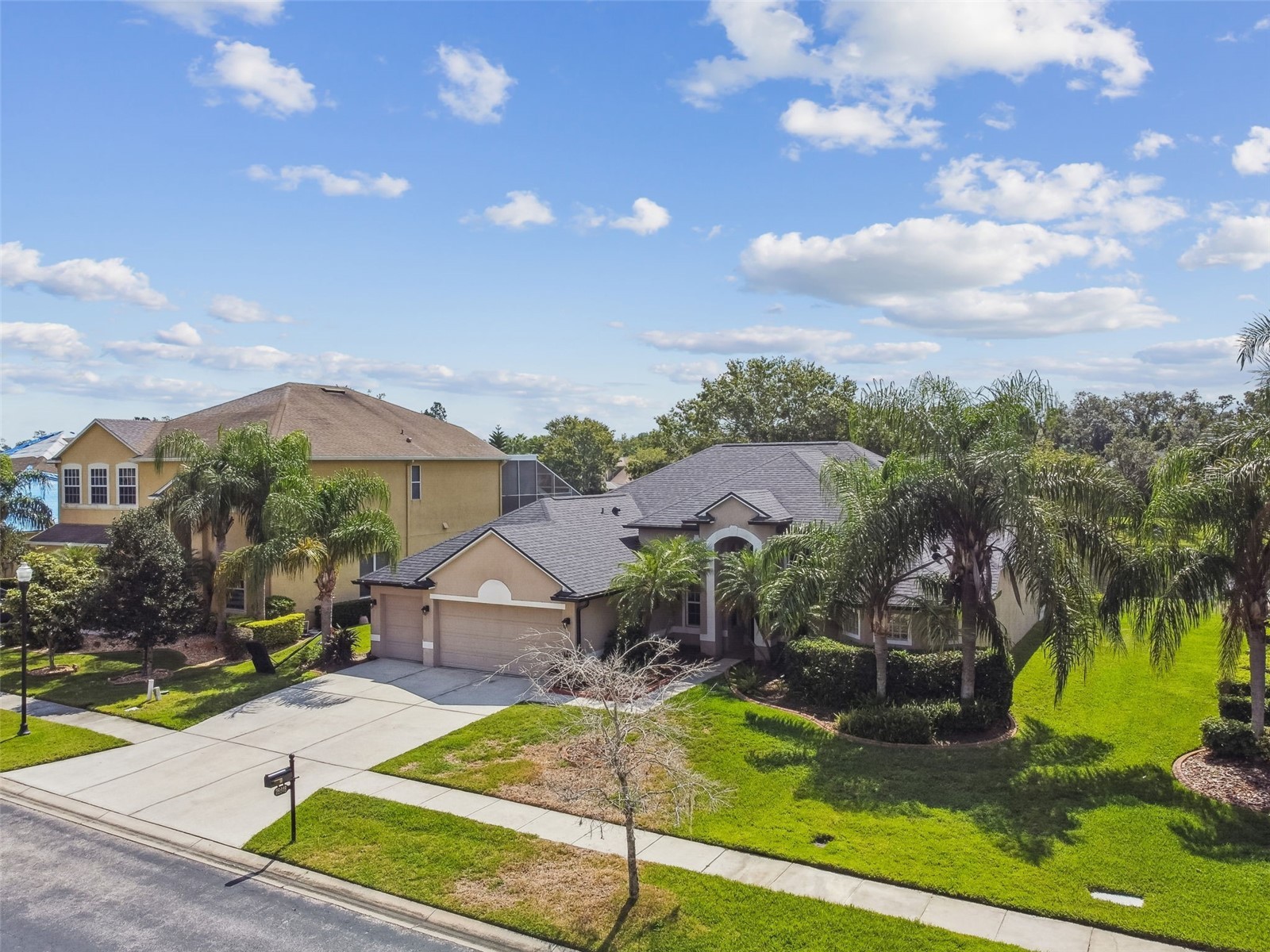 26848 Shoregrass Drive Wesley Chapel FL 33544 TB8474775 image7