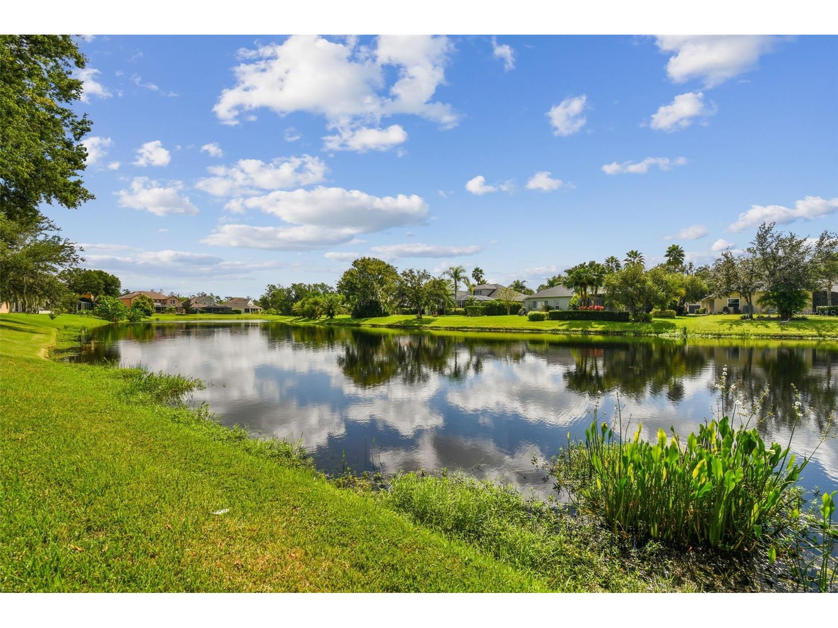 26848 Shoregrass Drive Wesley Chapel FL 33544 TB8474775 image71