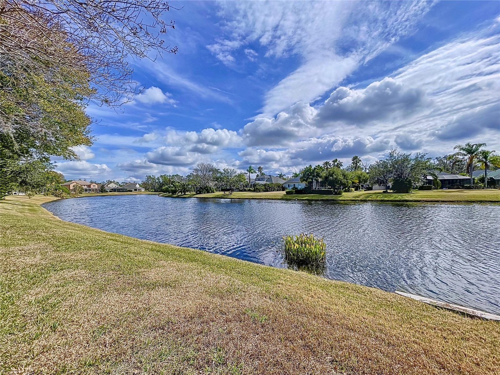 26848 Shoregrass Drive Wesley Chapel FL 33544 TB8474775 image72