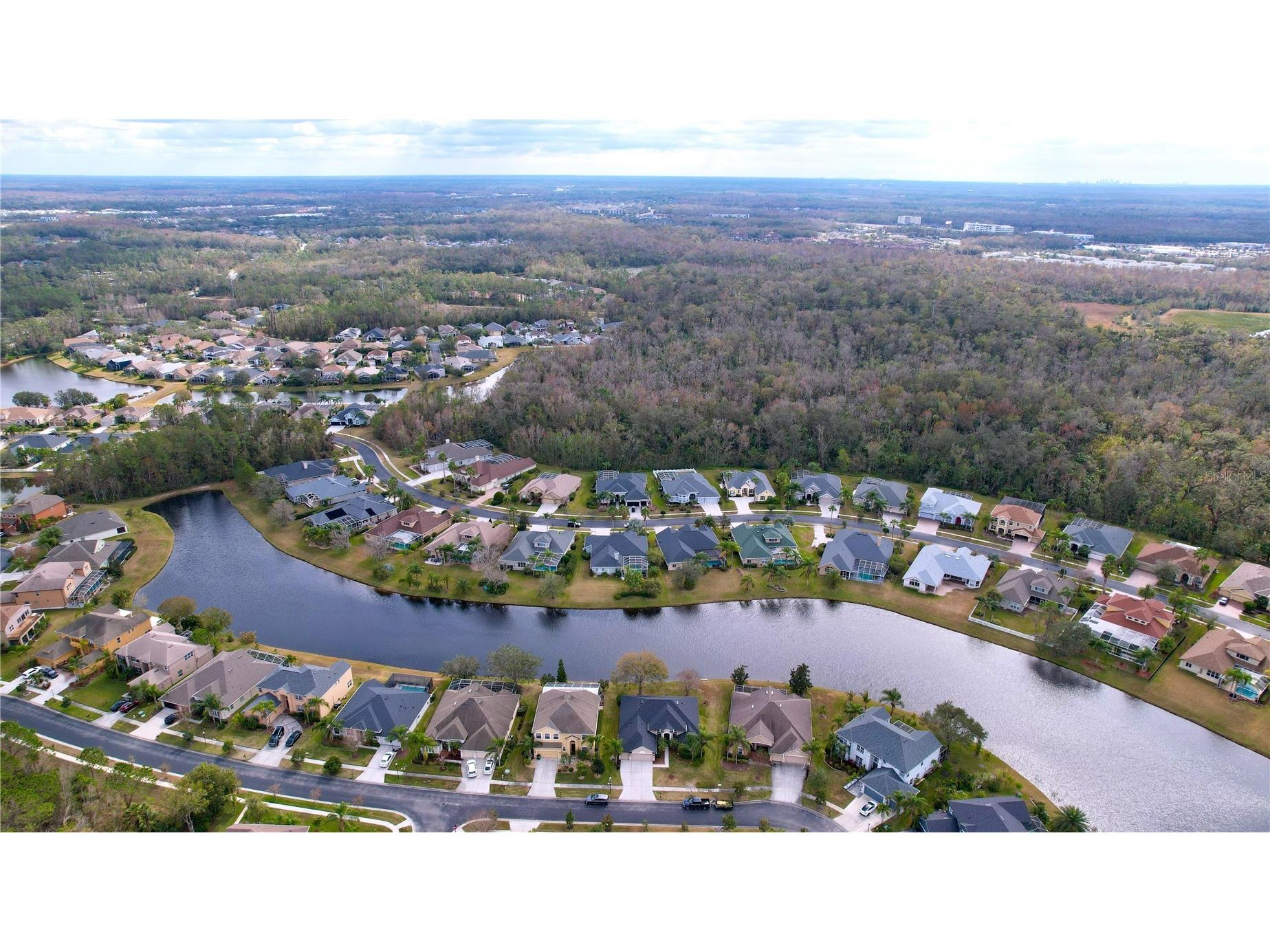 26848 Shoregrass Drive Wesley Chapel FL 33544 TB8474775 image75
