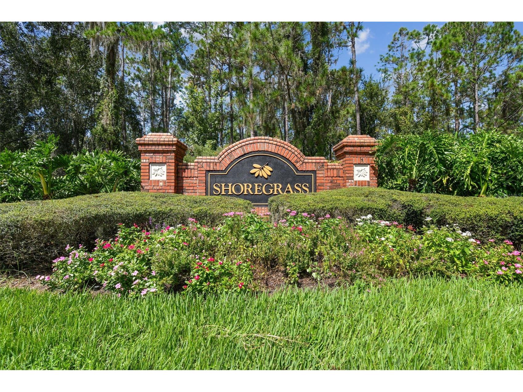 26848 Shoregrass Drive Wesley Chapel FL 33544 TB8474775 image77