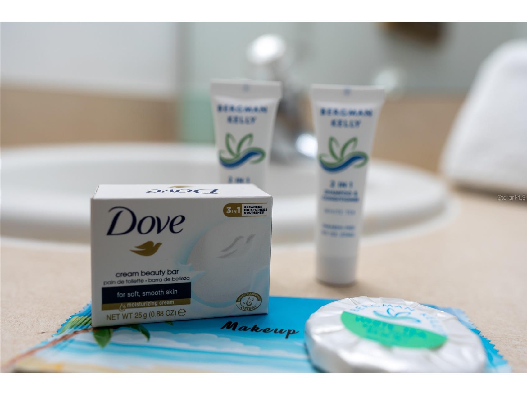 2685 Andros Lane Kissimmee FL 34747 TB8433699 image15