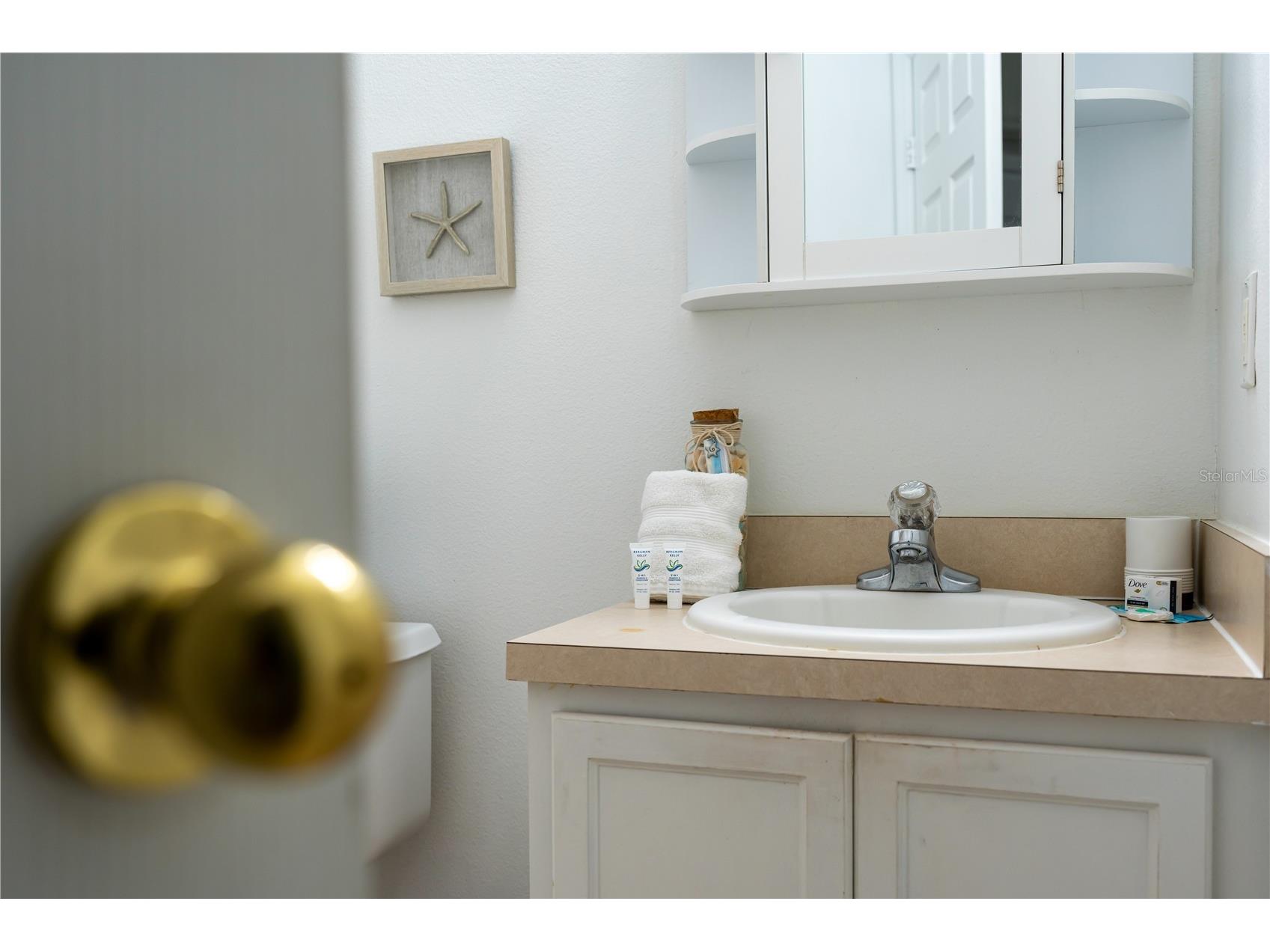 2685 Andros Lane Kissimmee FL 34747 TB8433699 image25