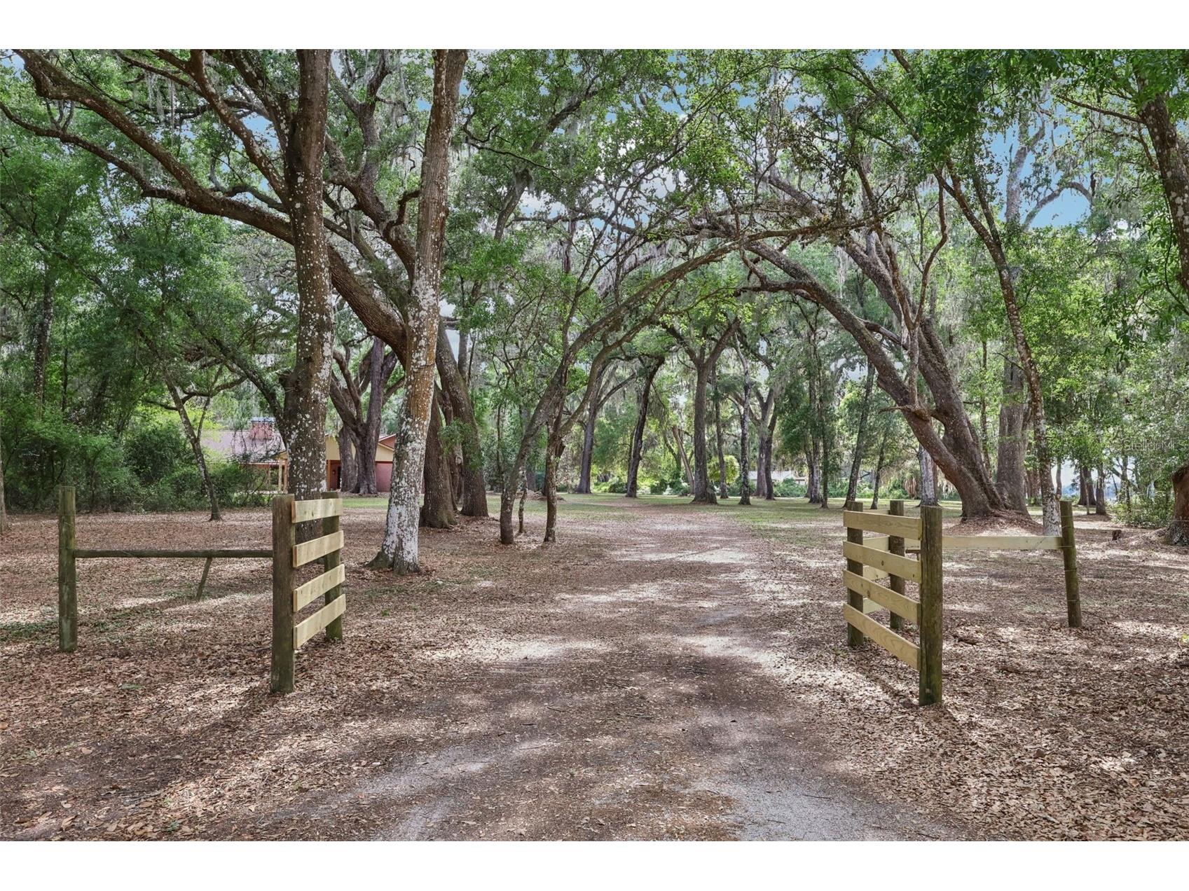 2685 Cr 564 Bushnell FL 33513 G5113153 image1
