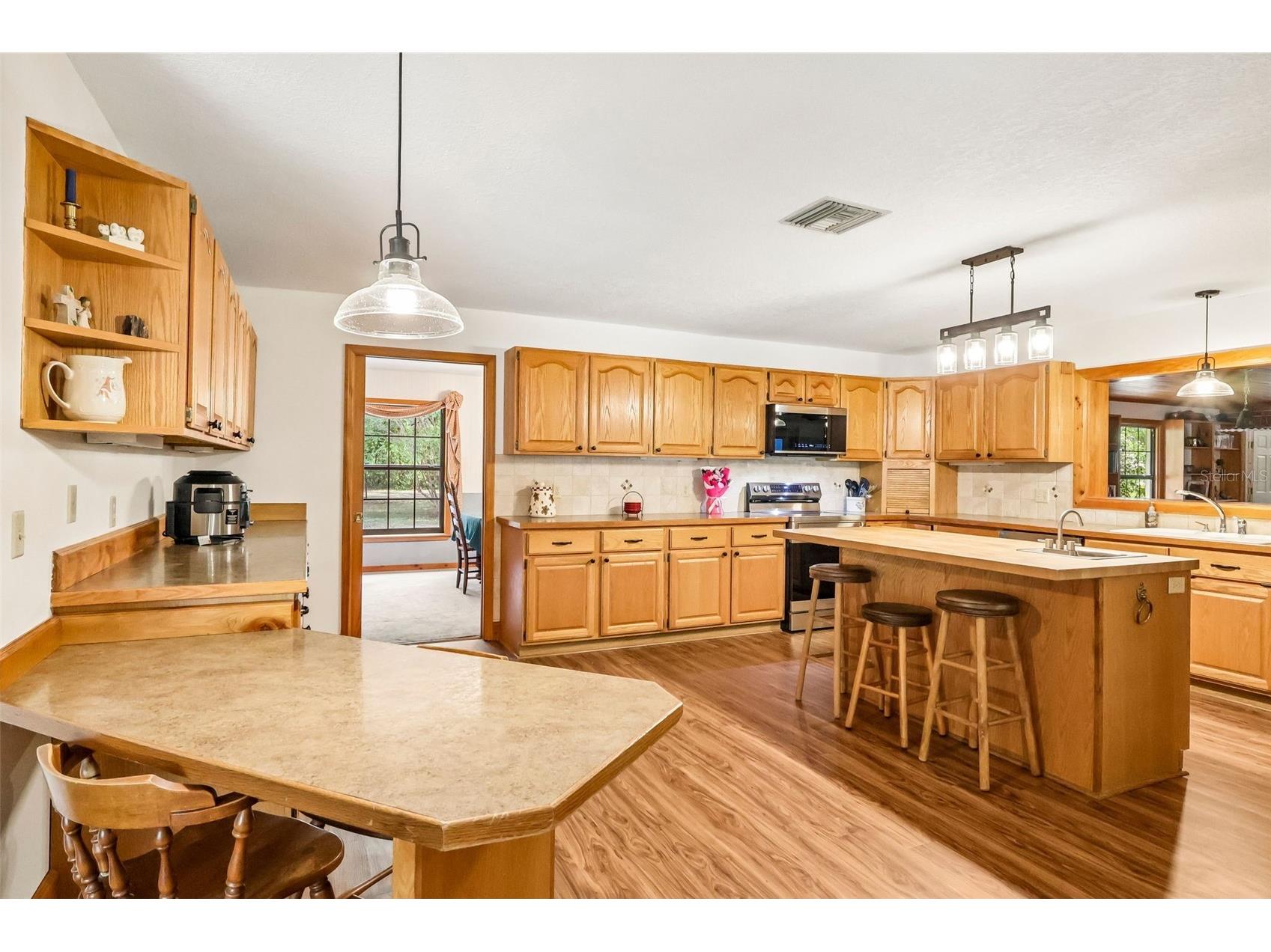 2685 Cr 564 Bushnell FL 33513 G5113153 image14