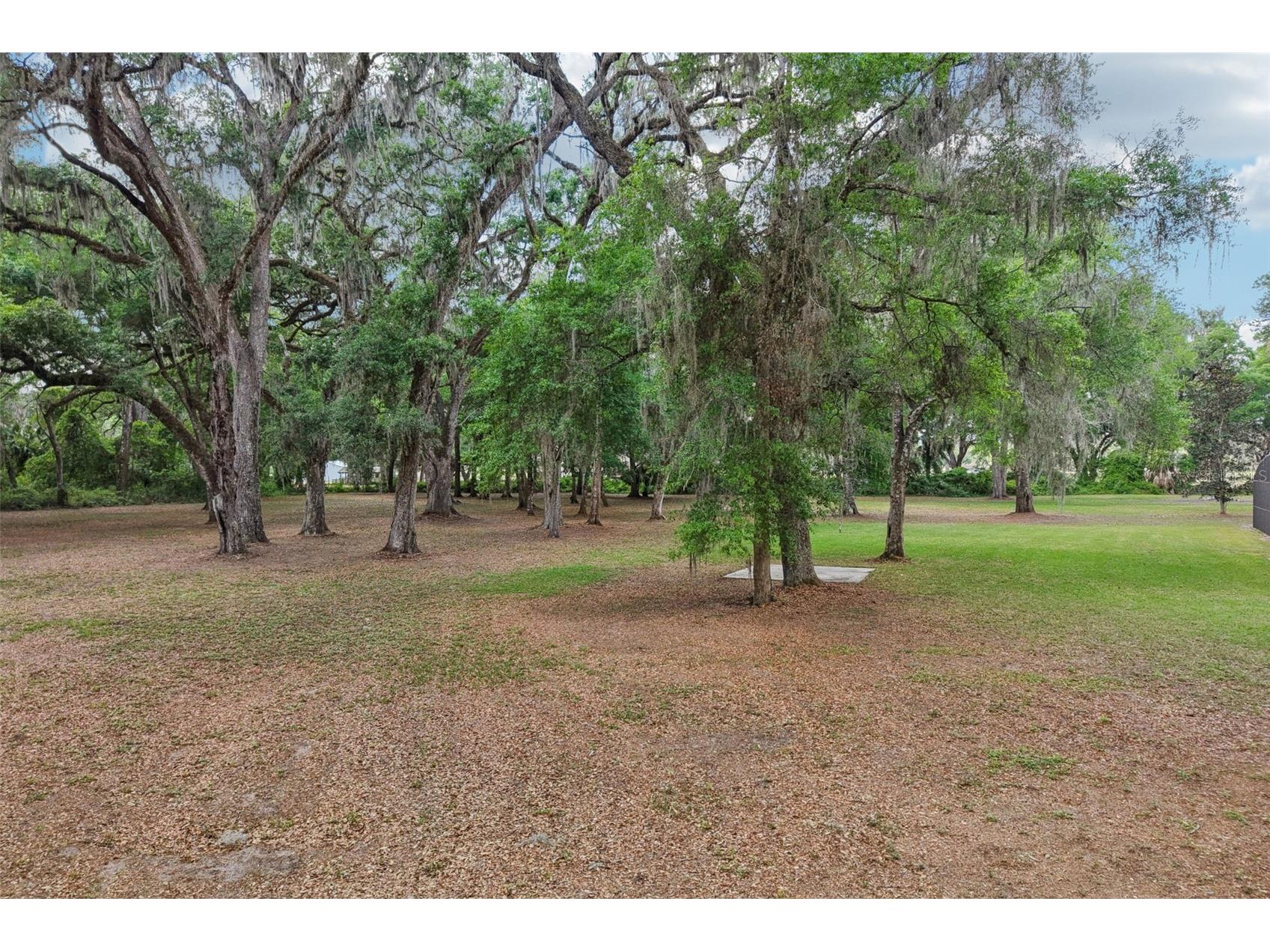 2685 Cr 564 Bushnell FL 33513 G5113153 image57