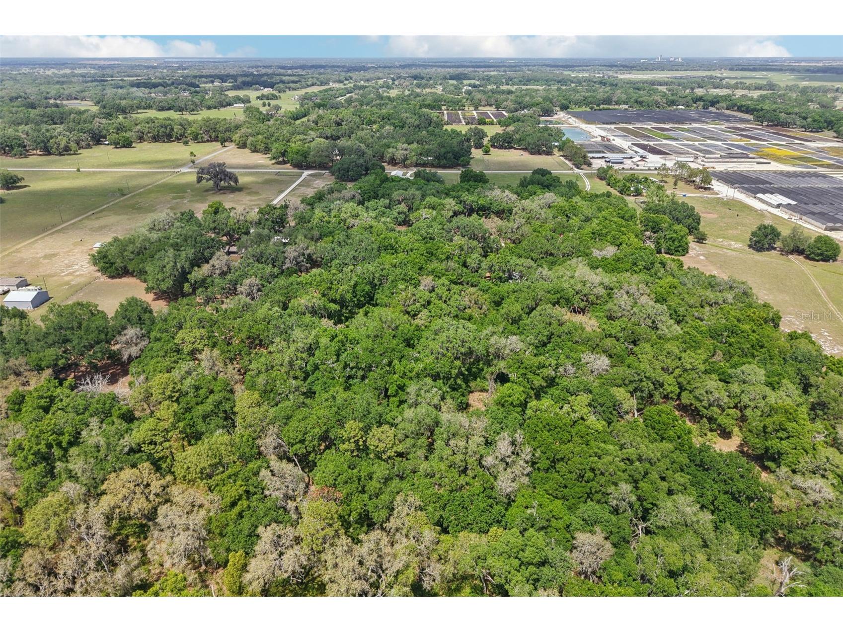 2685 Cr 564 Bushnell FL 33513 G5113153 image64