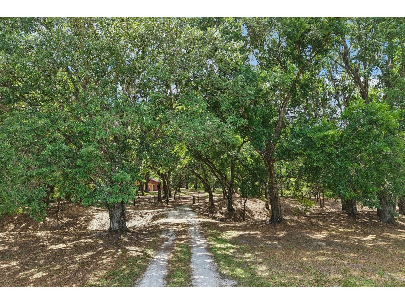 2685 Cr 564 Bushnell FL 33513 G5113153 image69