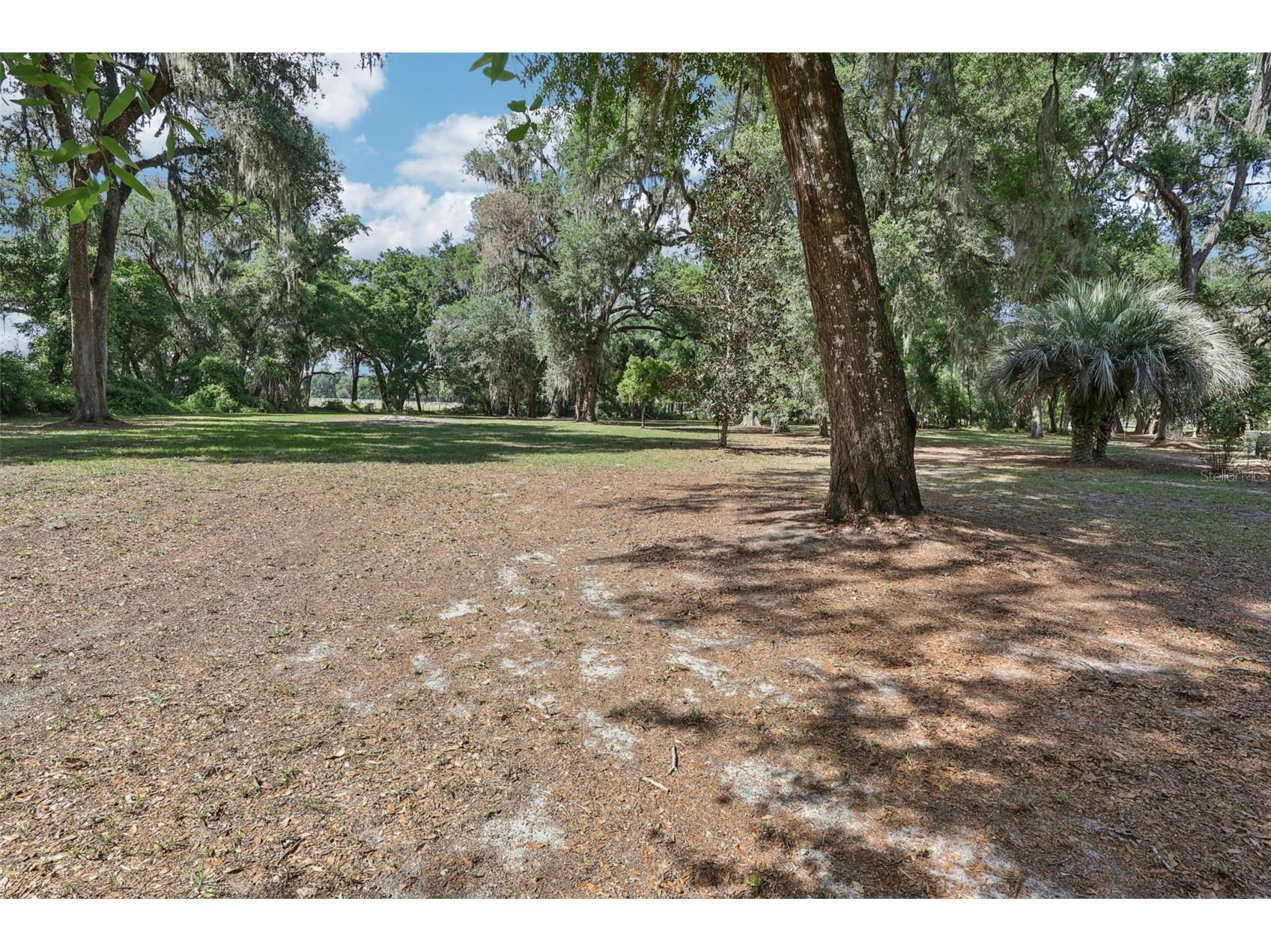 2685 Cr 564 Bushnell FL 33513 G5113153 image72