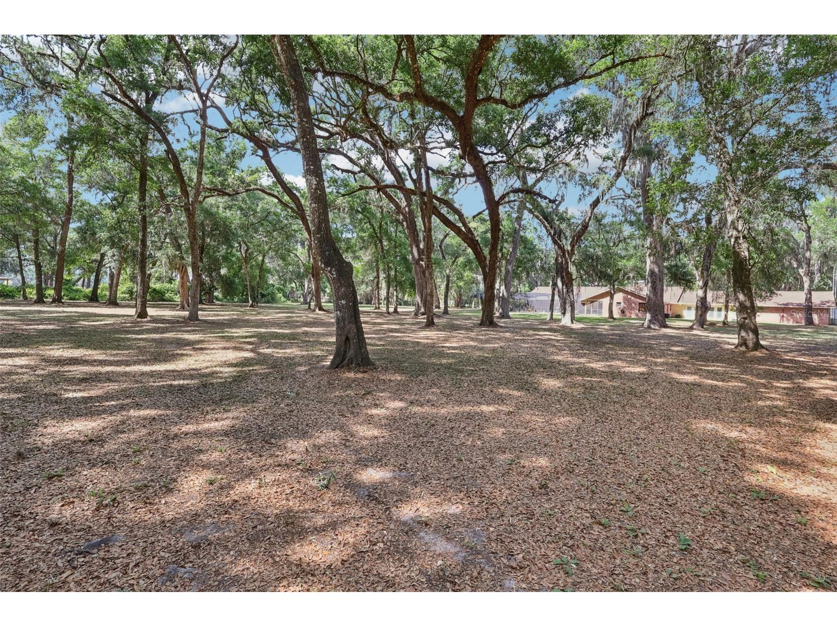 2685 Cr 564 Bushnell FL 33513 G5113153 image74
