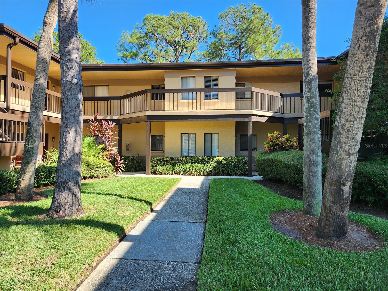 2685 Sabal Springs Circle #103 Clearwater FL 33761 TB8497881 image1