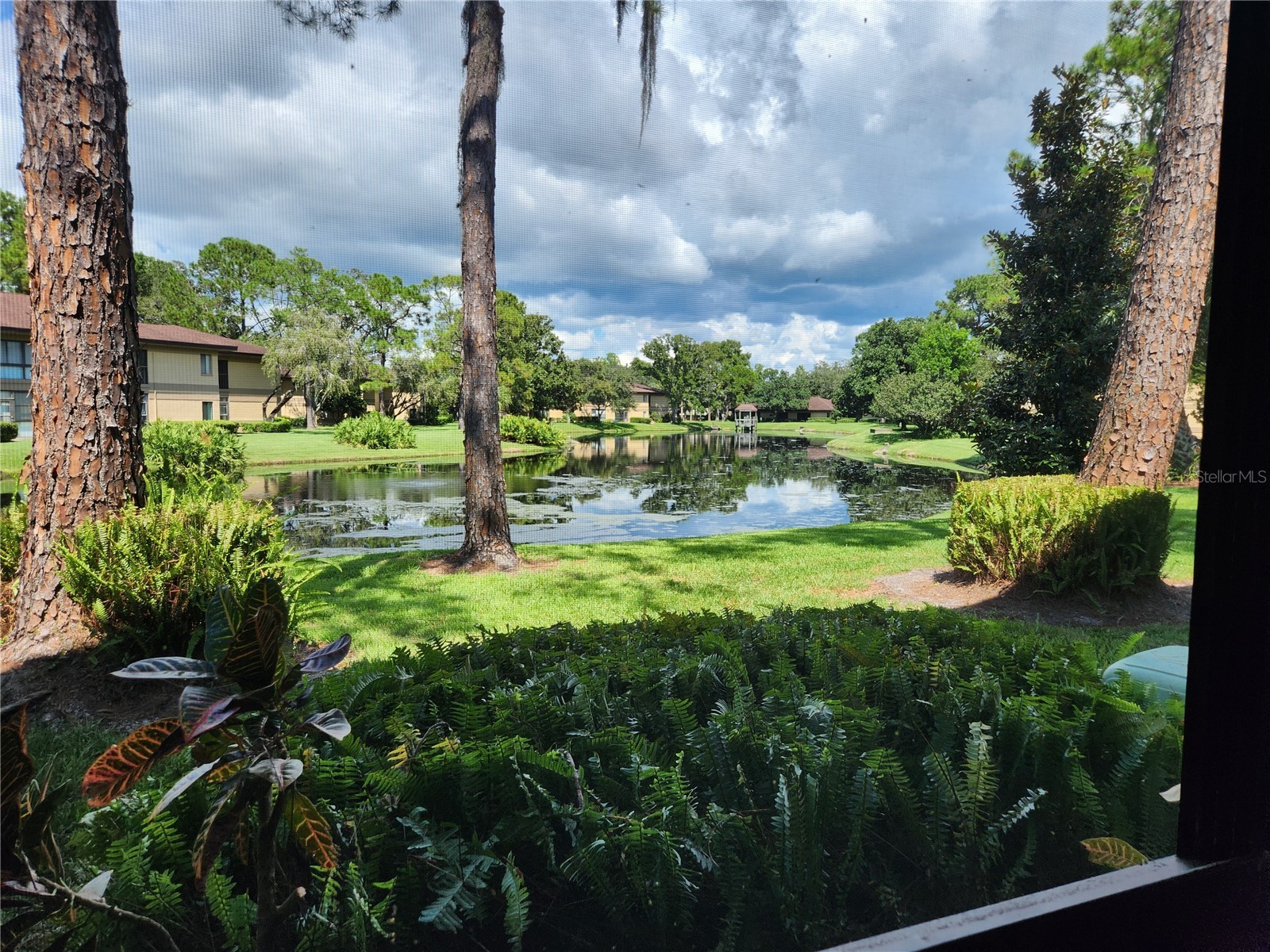 2685 Sabal Springs Circle #103 Clearwater FL 33761 TB8497881 image12