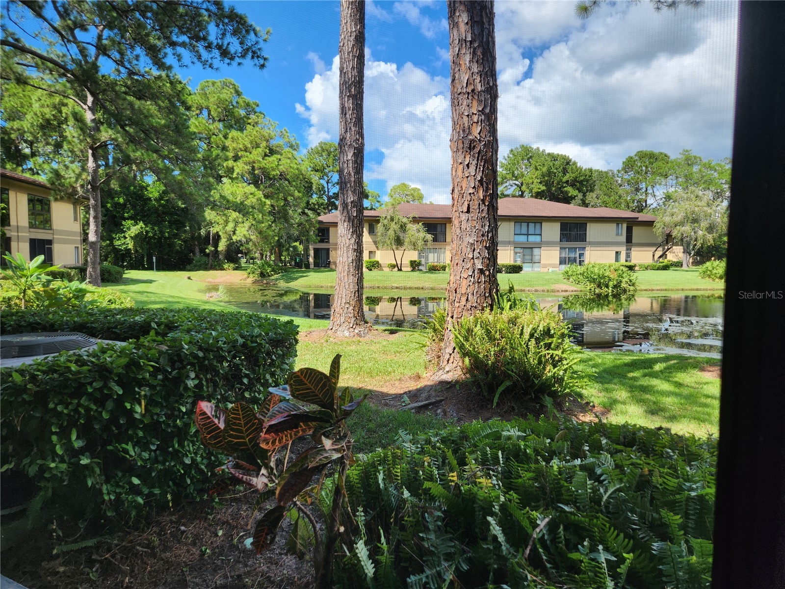 2685 Sabal Springs Circle #103 Clearwater FL 33761 TB8497881 image13