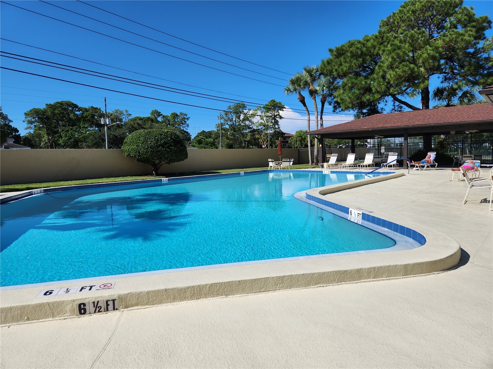 2685 Sabal Springs Circle #103 Clearwater FL 33761 TB8497881 image2