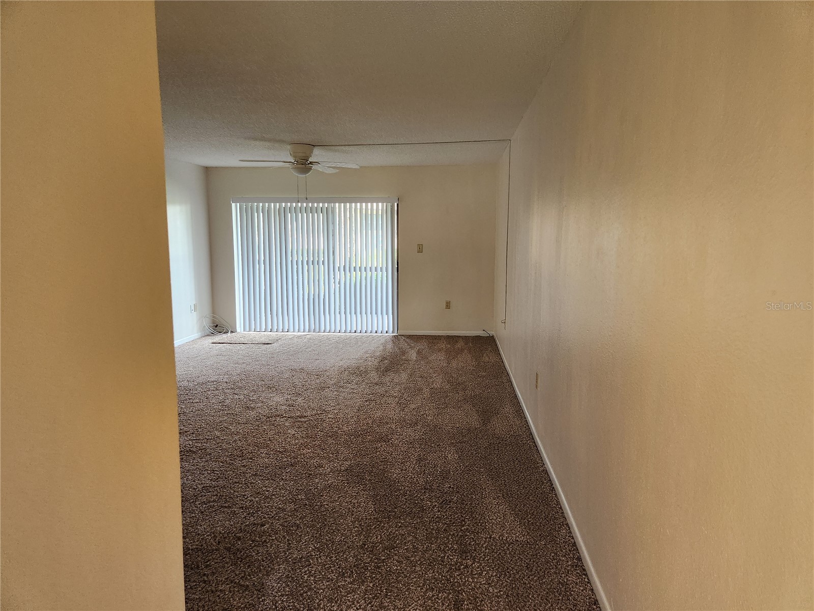 2685 Sabal Springs Circle #103 Clearwater FL 33761 TB8497881 image6