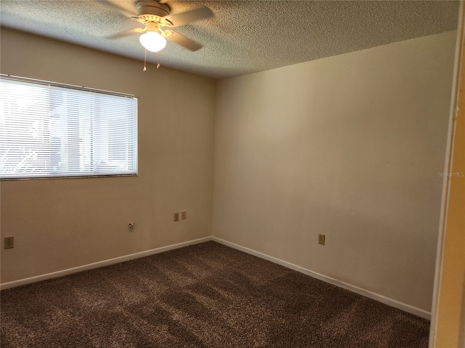 2685 Sabal Springs Circle #103 Clearwater FL 33761 TB8497881 image9