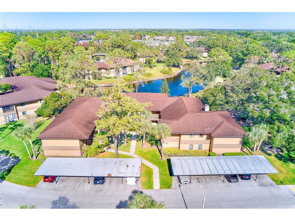 2685 Sabal Springs Circle #202 Clearwater FL 33761 TB8452920 image21