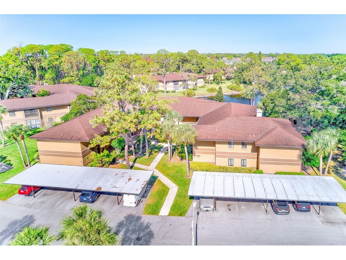 2685 Sabal Springs Circle #202 Clearwater FL 33761 TB8452920 image22