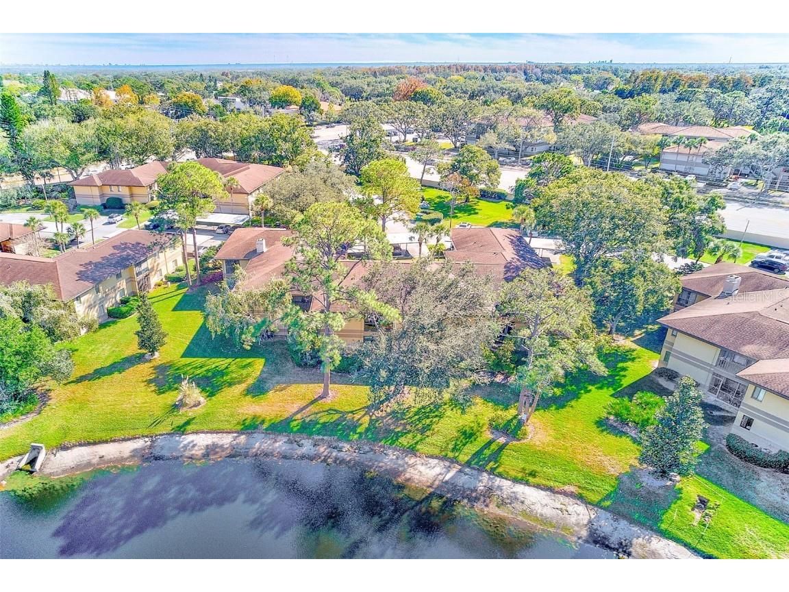 2685 Sabal Springs Circle #202 Clearwater FL 33761 TB8452920 image23