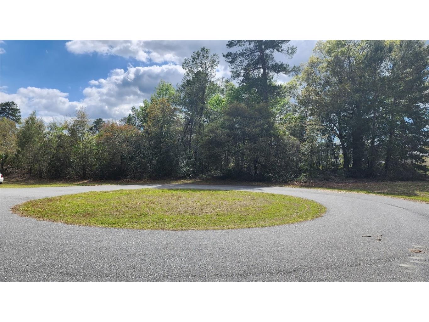 2685 SW 148th Lane Ocala FL 34473 V4929318 image1