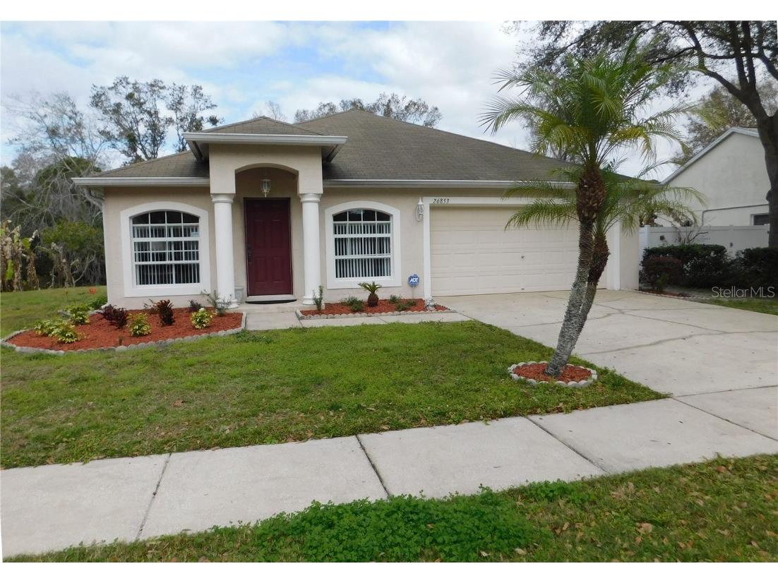 26853 Haverhill Drive Lutz FL 33559 T3424618 image1