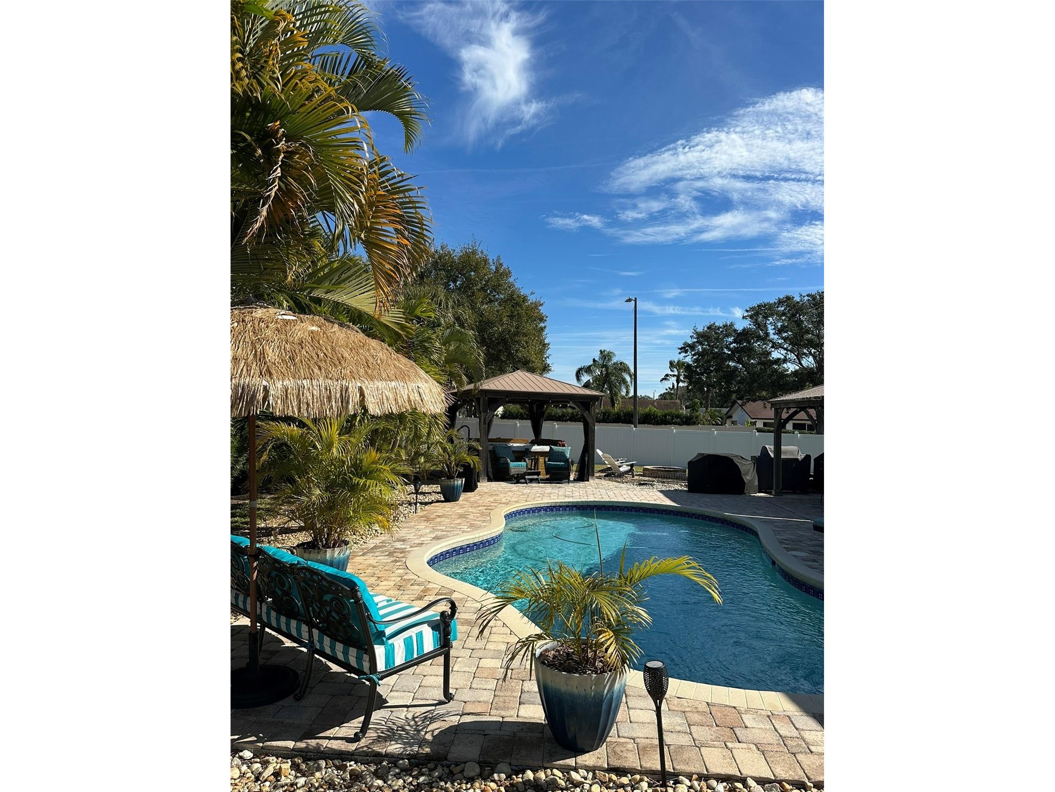 2686 Clubhouse Drive S Clearwater FL 33761 TB8468486 image4