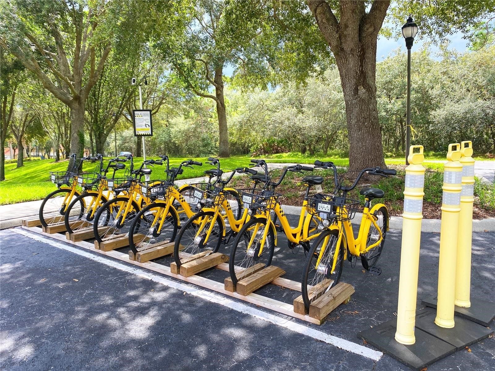 2686 Emerald Island Boulevard Kissimmee FL 34747 O6370869 image42