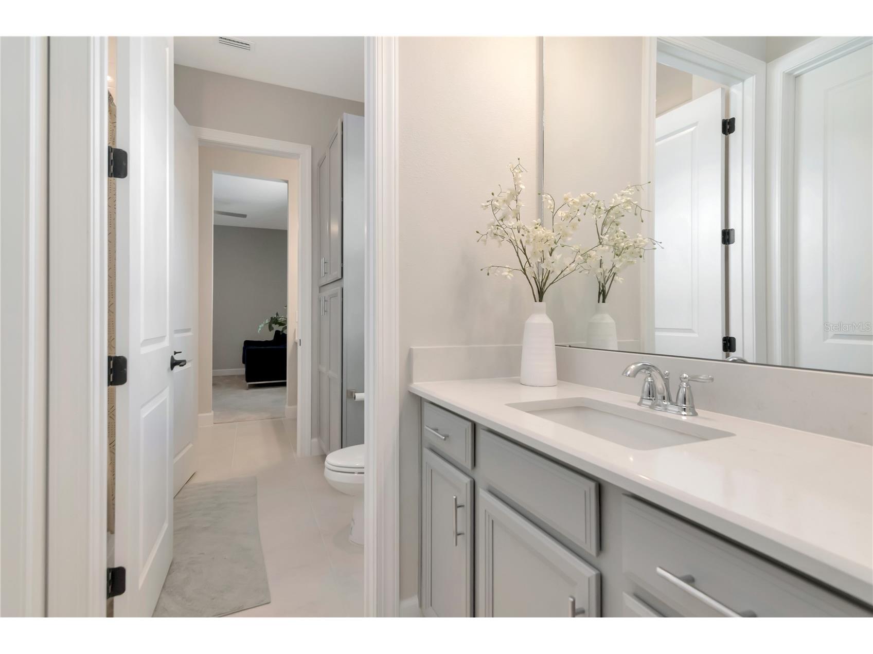 2686 Meander Cove Wesley Chapel FL 33543 TB8504976 image36