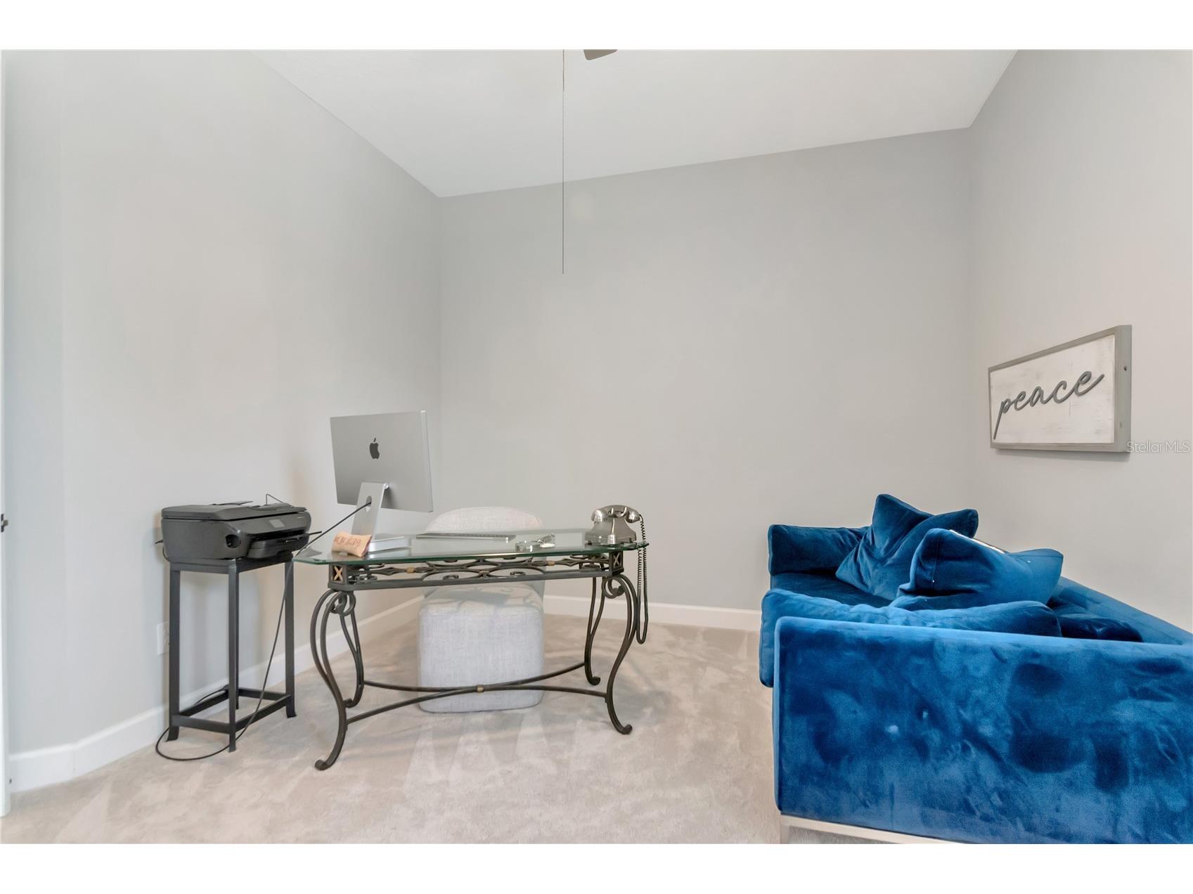 2686 Meander Cove Wesley Chapel FL 33543 TB8504976 image38