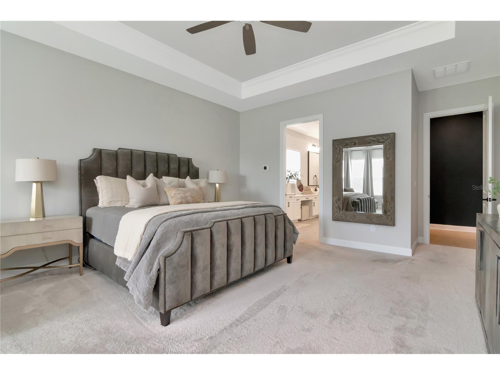 2686 Meander Cove Wesley Chapel FL 33543 TB8504976 image43