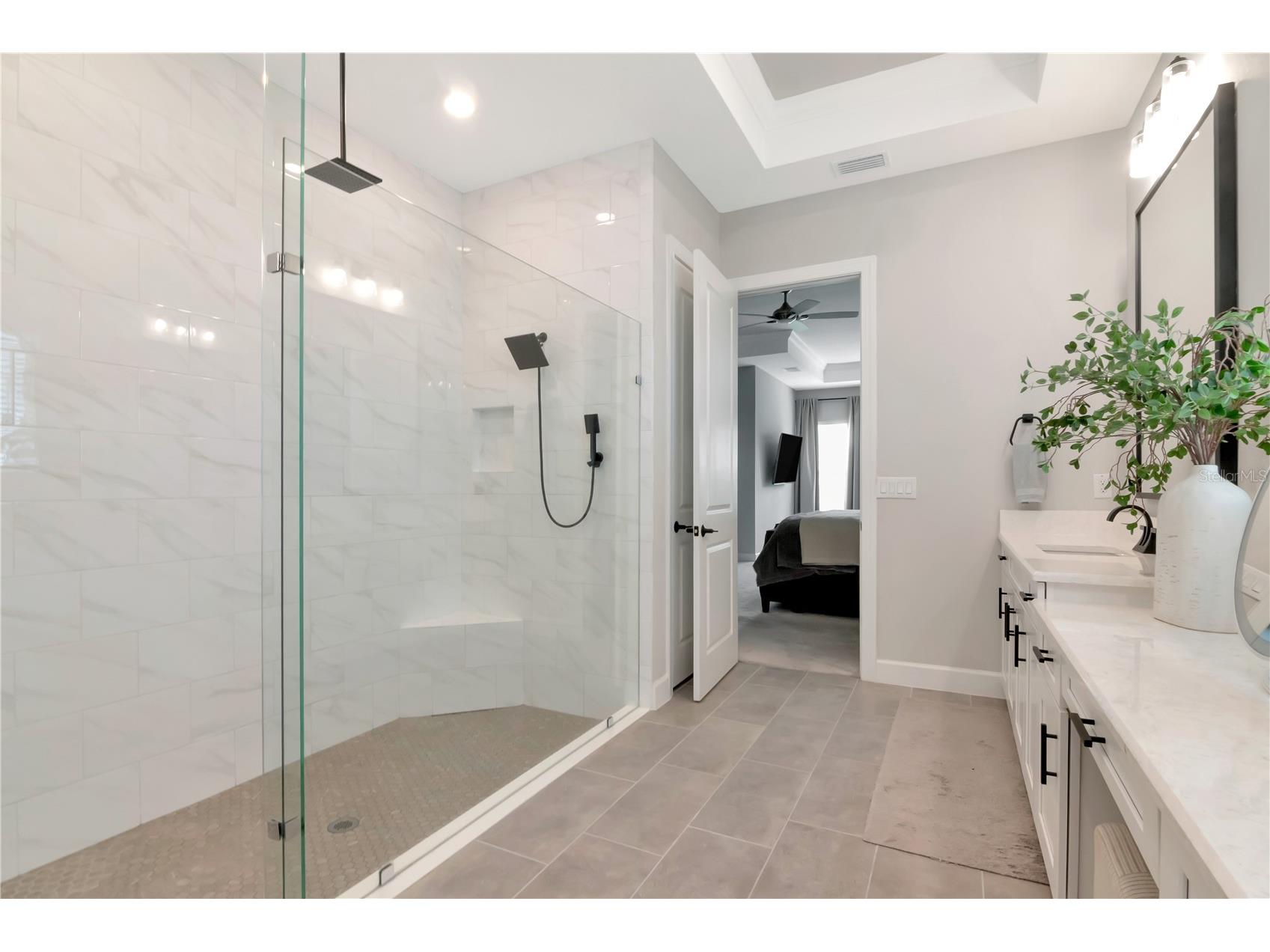 2686 Meander Cove Wesley Chapel FL 33543 TB8504976 image48