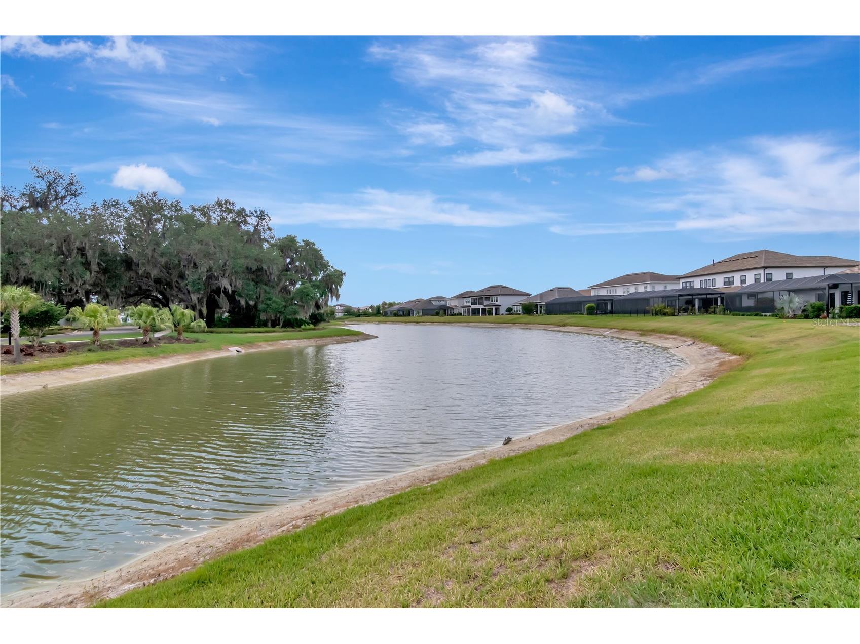 2686 Meander Cove Wesley Chapel FL 33543 TB8504976 image83