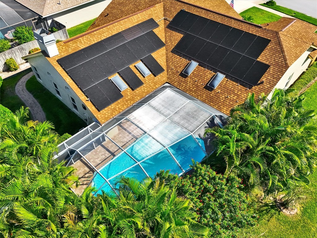 2686 Scobee Drive Palm Harbor FL 34683 TB8437494 image2