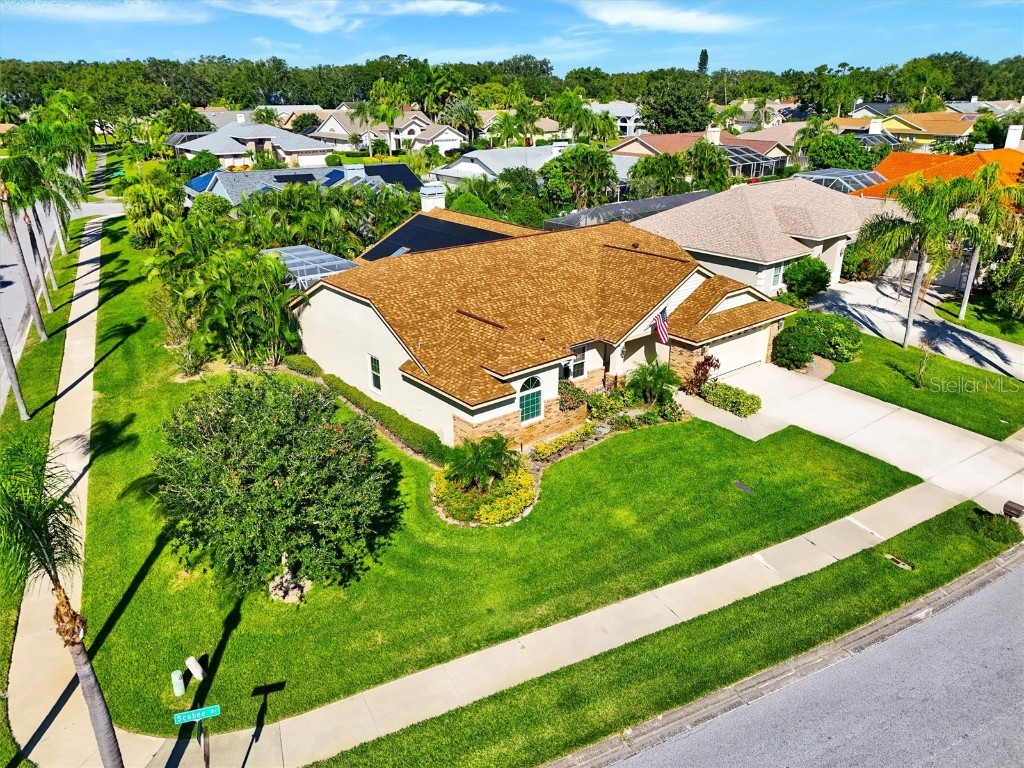 2686 Scobee Drive Palm Harbor FL 34683 TB8437494 image44