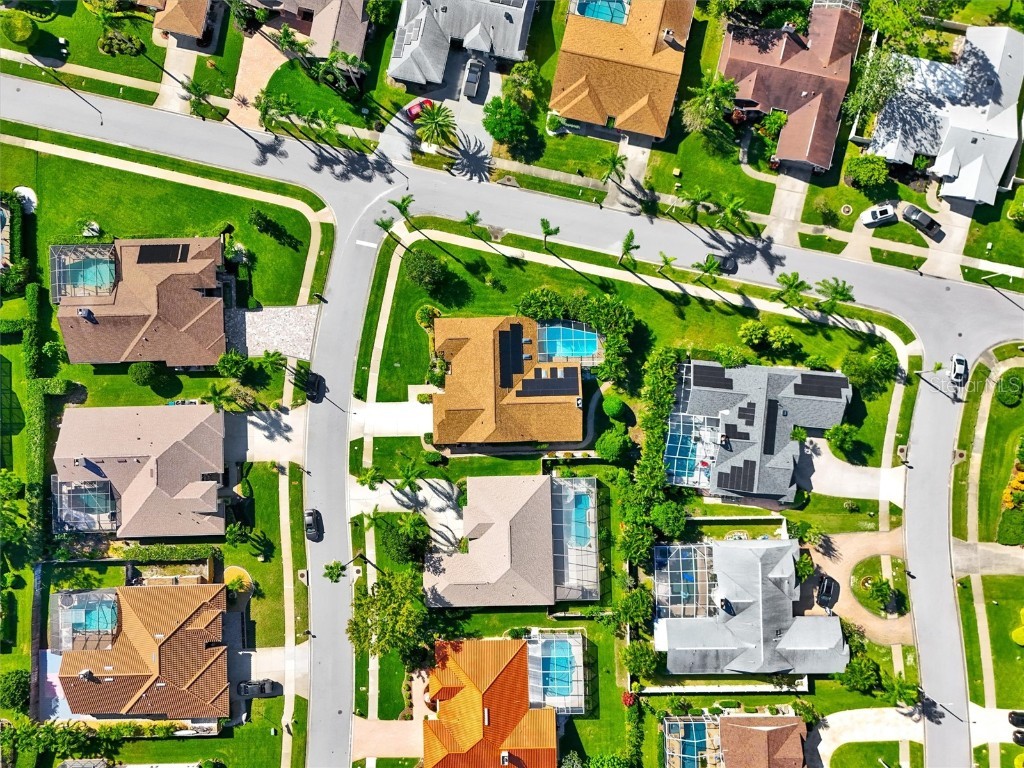 2686 Scobee Drive Palm Harbor FL 34683 TB8437494 image47